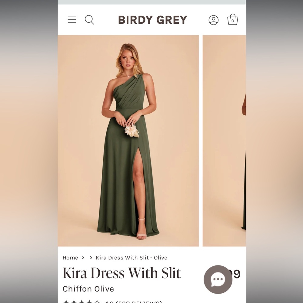 Birdy Grey Kira dress Chiffon